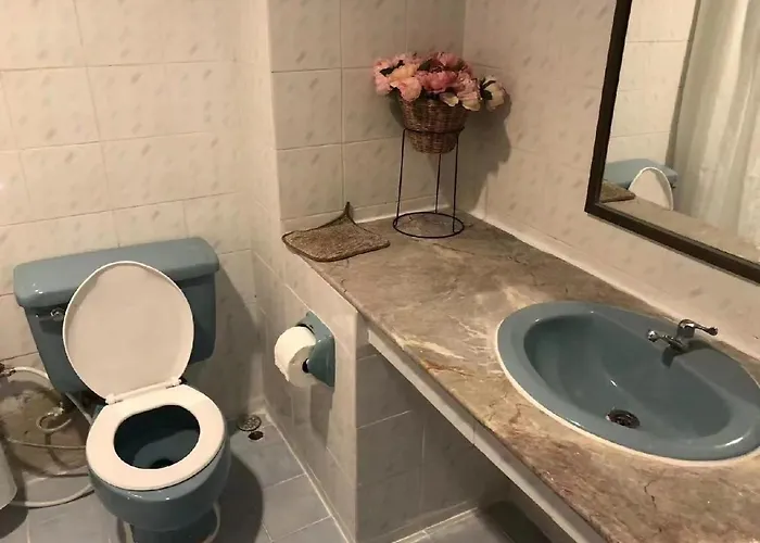 ฟรีดอมเฮาส์ 1 招待所 *